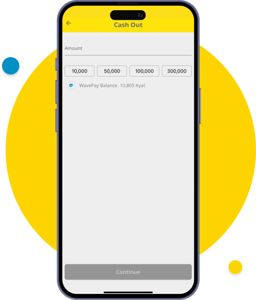 Enter amount and click “Continue”